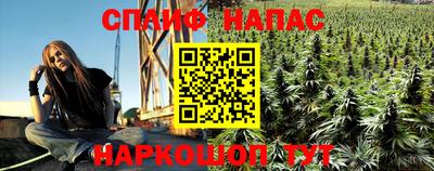 эйфоретик Кингисепп