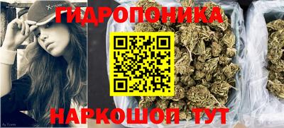 эйфоретик Кингисепп