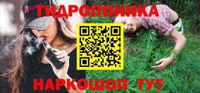 эйфоретик Кингисепп