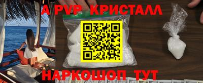 эйфоретик Кингисепп